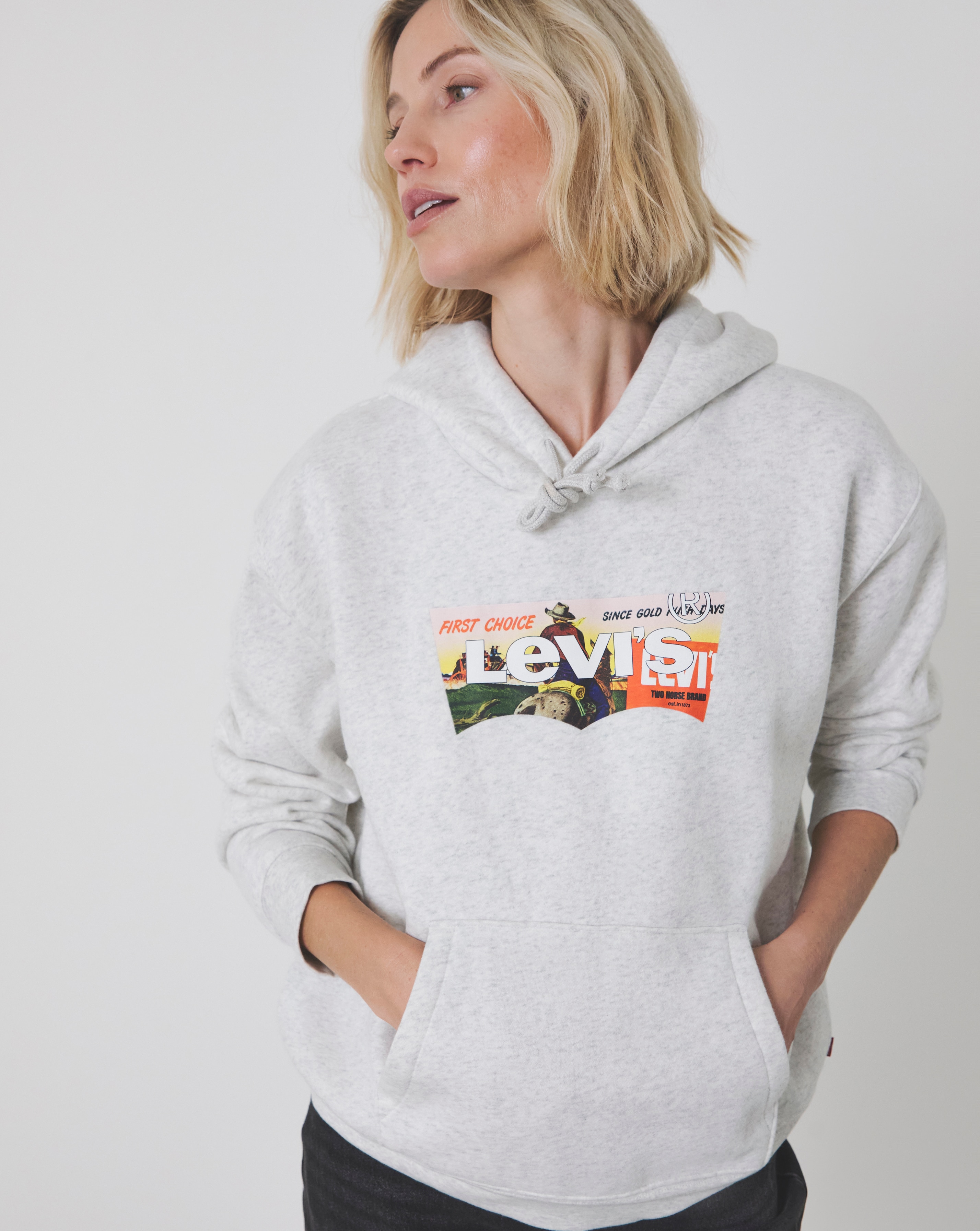 Levi's Graphic Everyday Hoodie