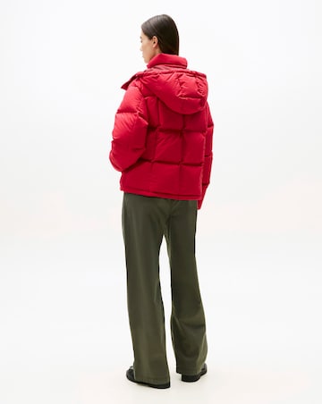 Tommy Jeans Alaska Grid Down Jacket