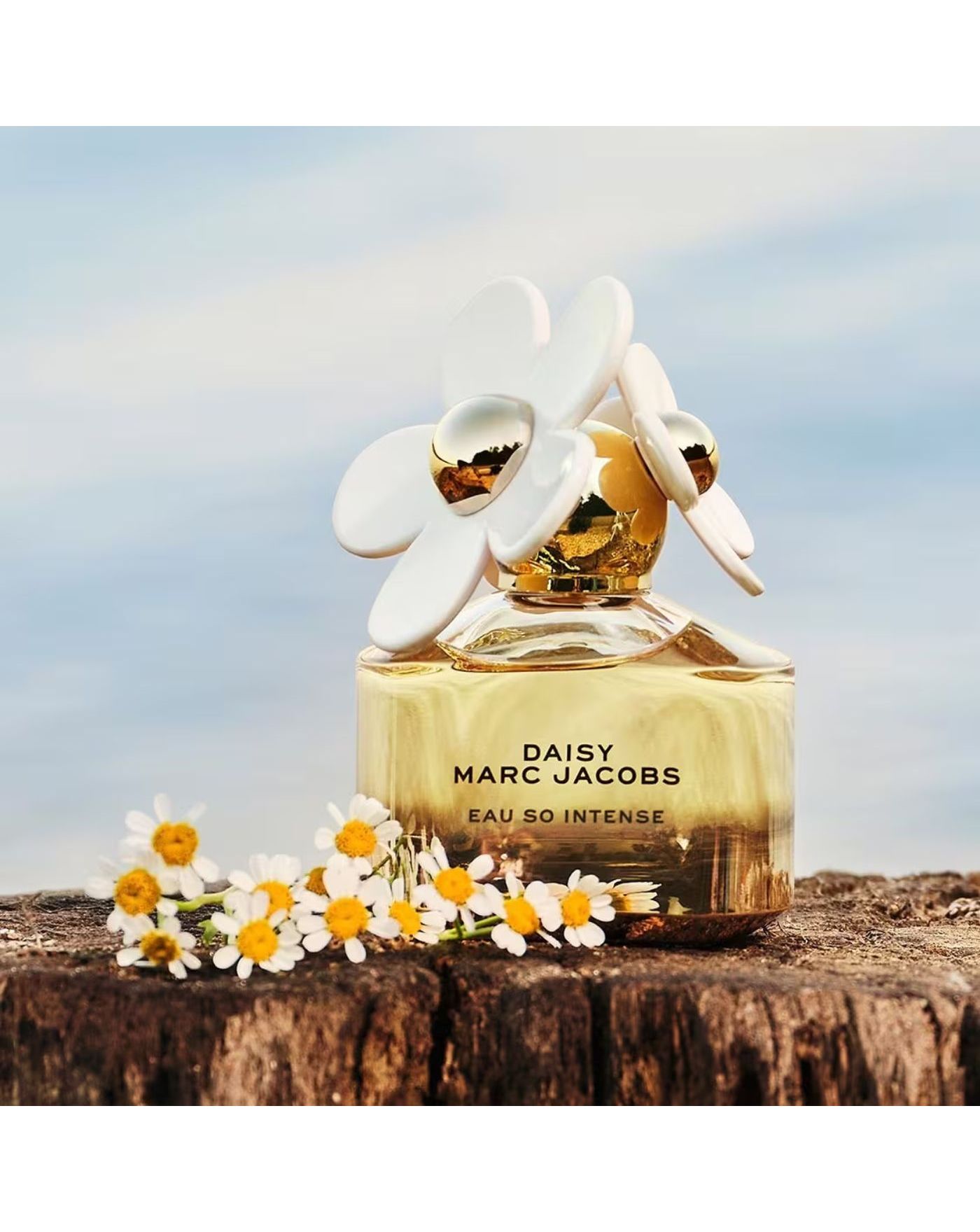 Marc Jacobs Daisy Eau So Intense EDP 100ml | JD Williams