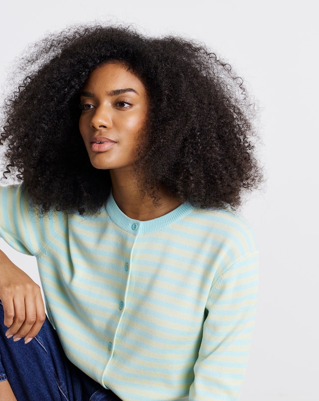 Fine Knit Blue Stripe Short Sleeve Boxy Cardigan