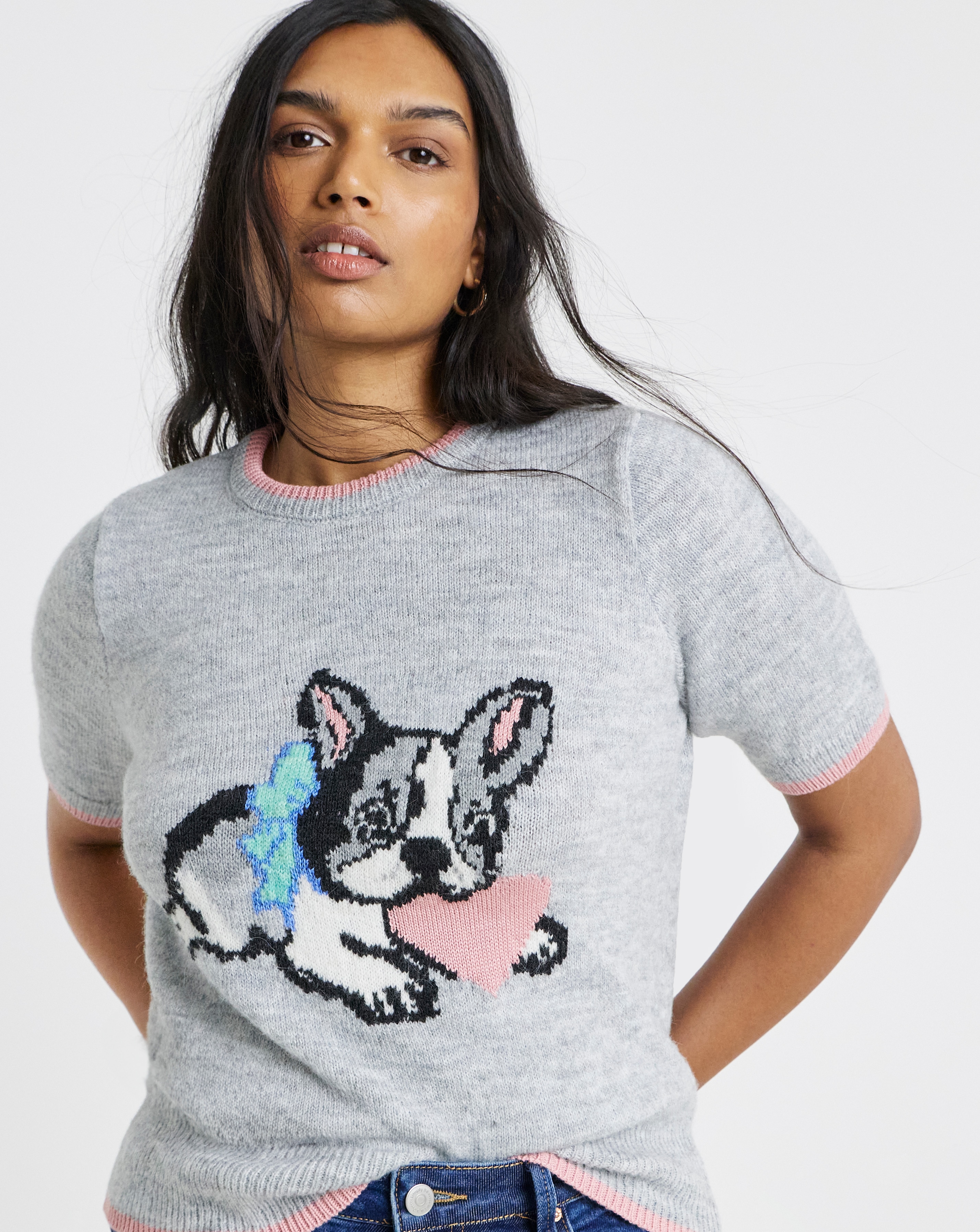 New In - Short Sleeve Tipped Pet Pals Jumper