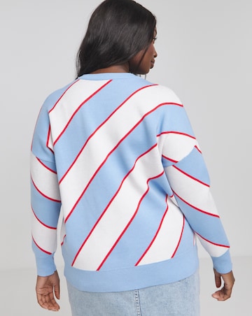 Blue and White Diagonal Stripe Jumper