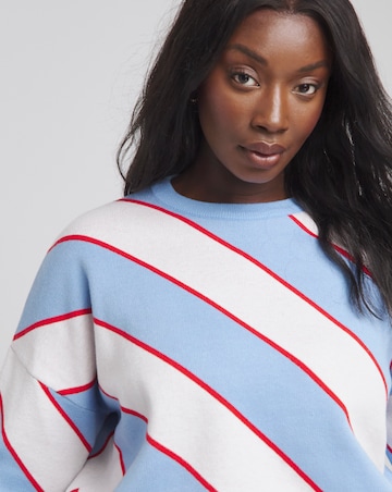 Blue and White Diagonal Stripe Jumper