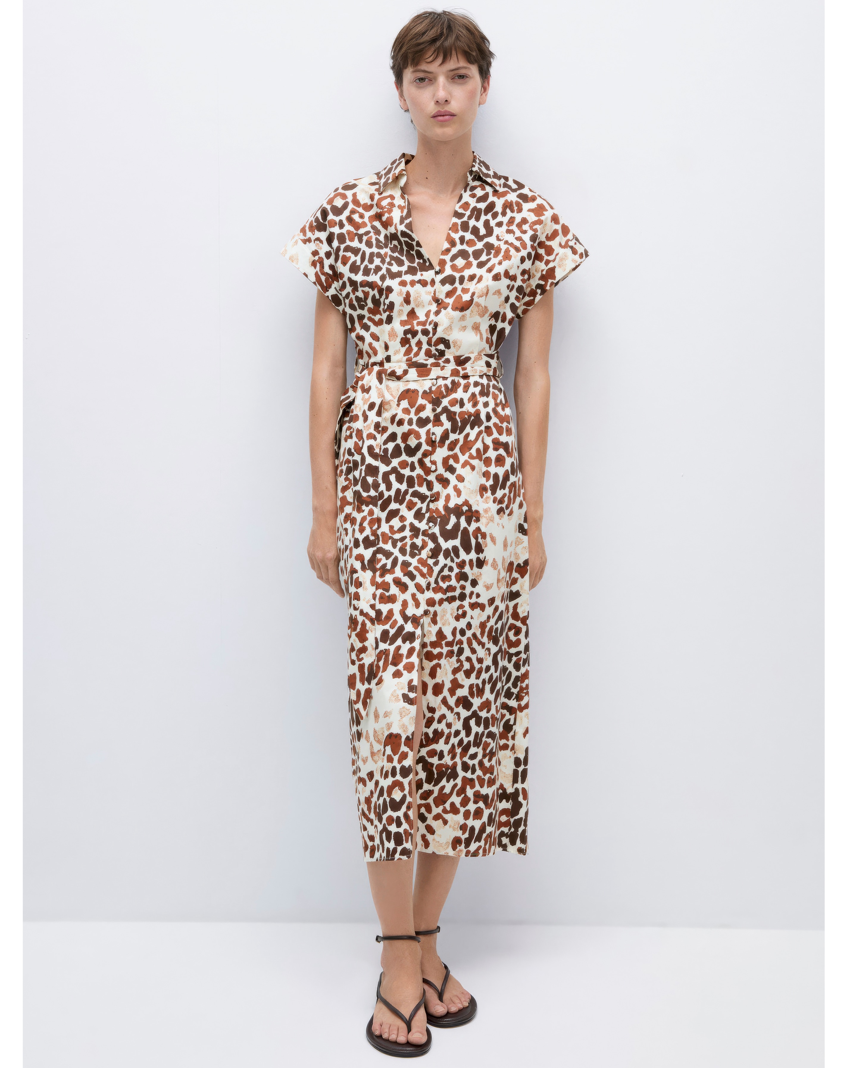 Mango Animal Print Dress
