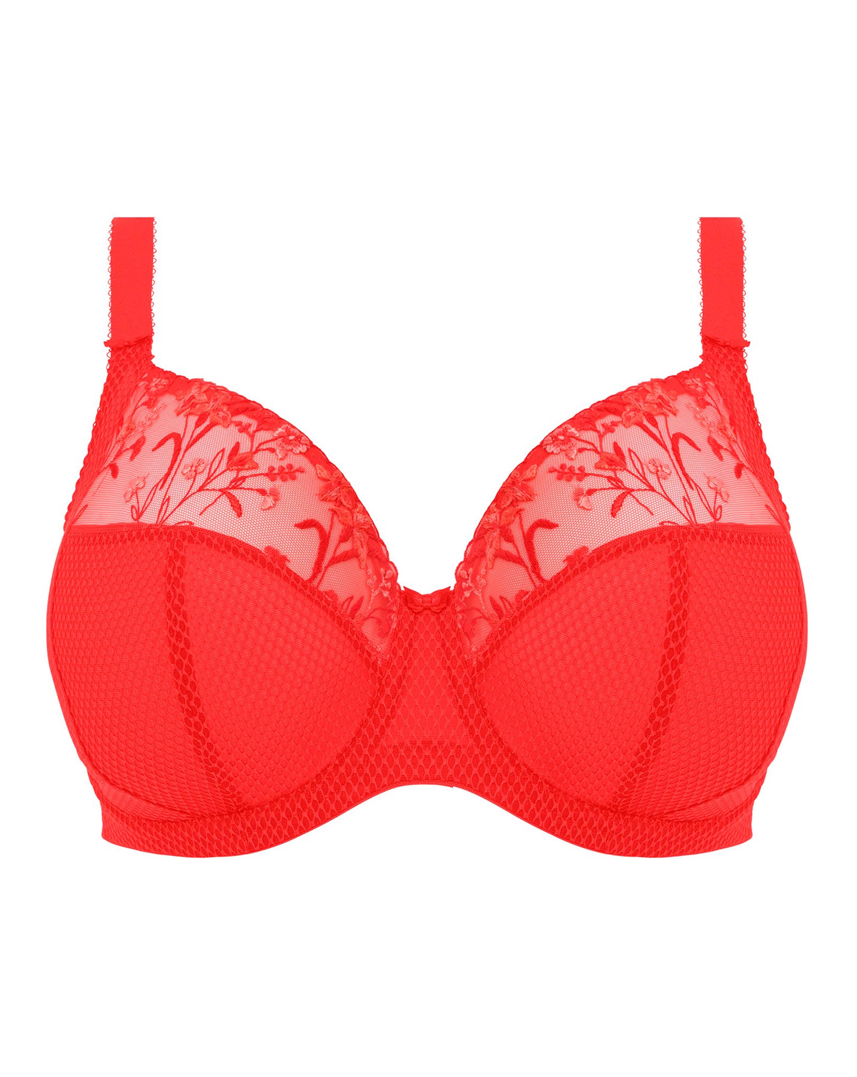 Elomi Charley Plunge Wired Bra Salsa