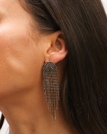 Mood Gold & Jet Crystal Tassel Statement Drop Earrings