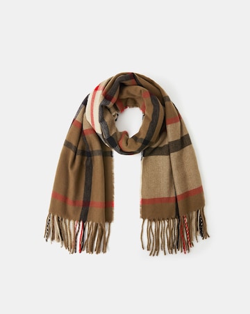 Accessorize Check Print Scarf