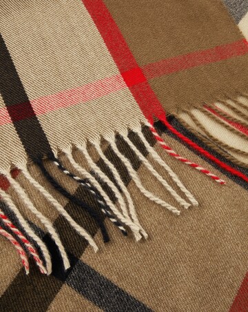 Accessorize Check Print Scarf