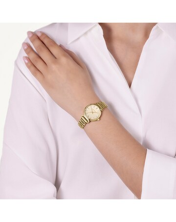 Radley Gold Plated T-Bar Watch