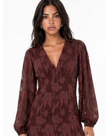 Anaya Floral Burnout Maxi Dress