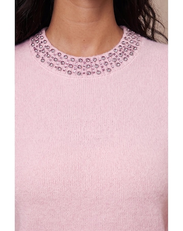 Roman Embellish Trim Knitted Top