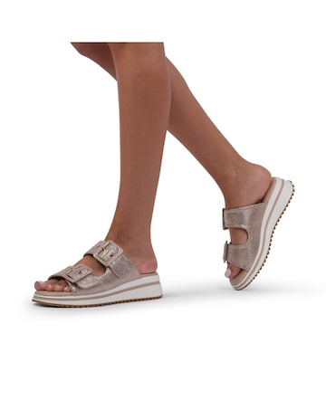 Paradox London Voyage Platform  Slidders