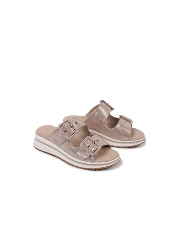 Paradox London Voyage Platform  Slidders