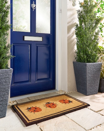 My Mat Ladybirds Coir Doormat