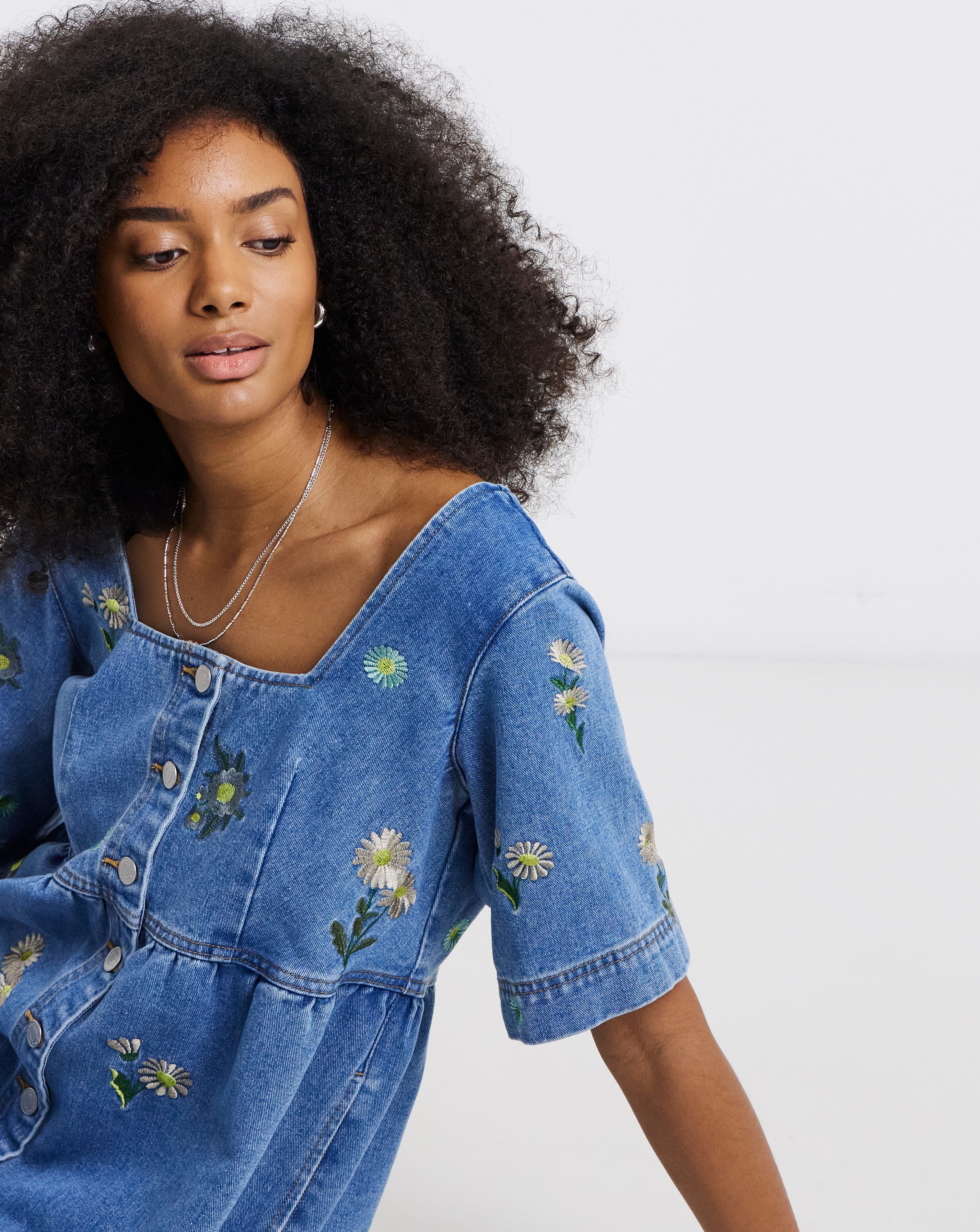 Daisy Embroidered Denim Dress | JD Williams