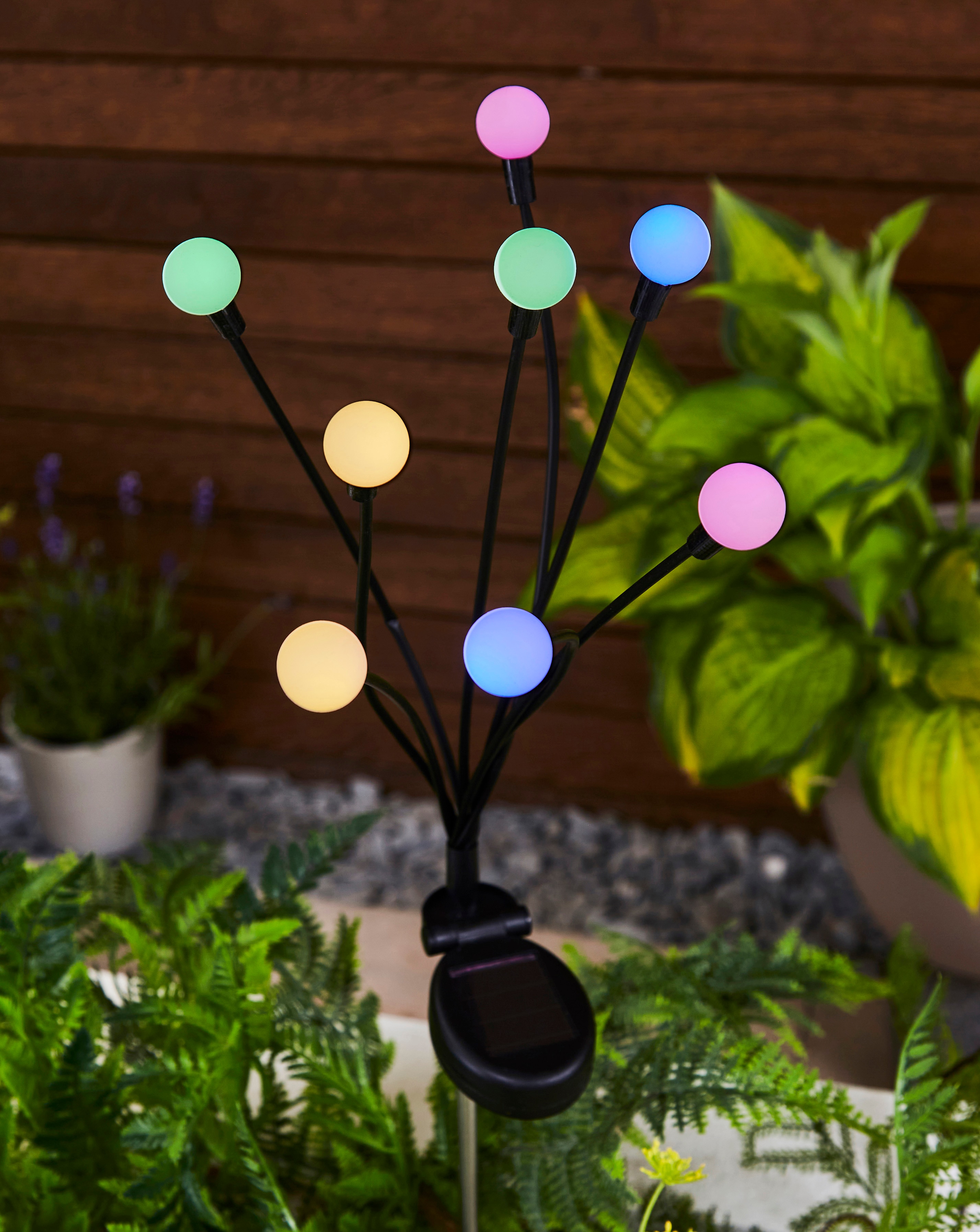8-Stem GloGlobes - Multi Coloured