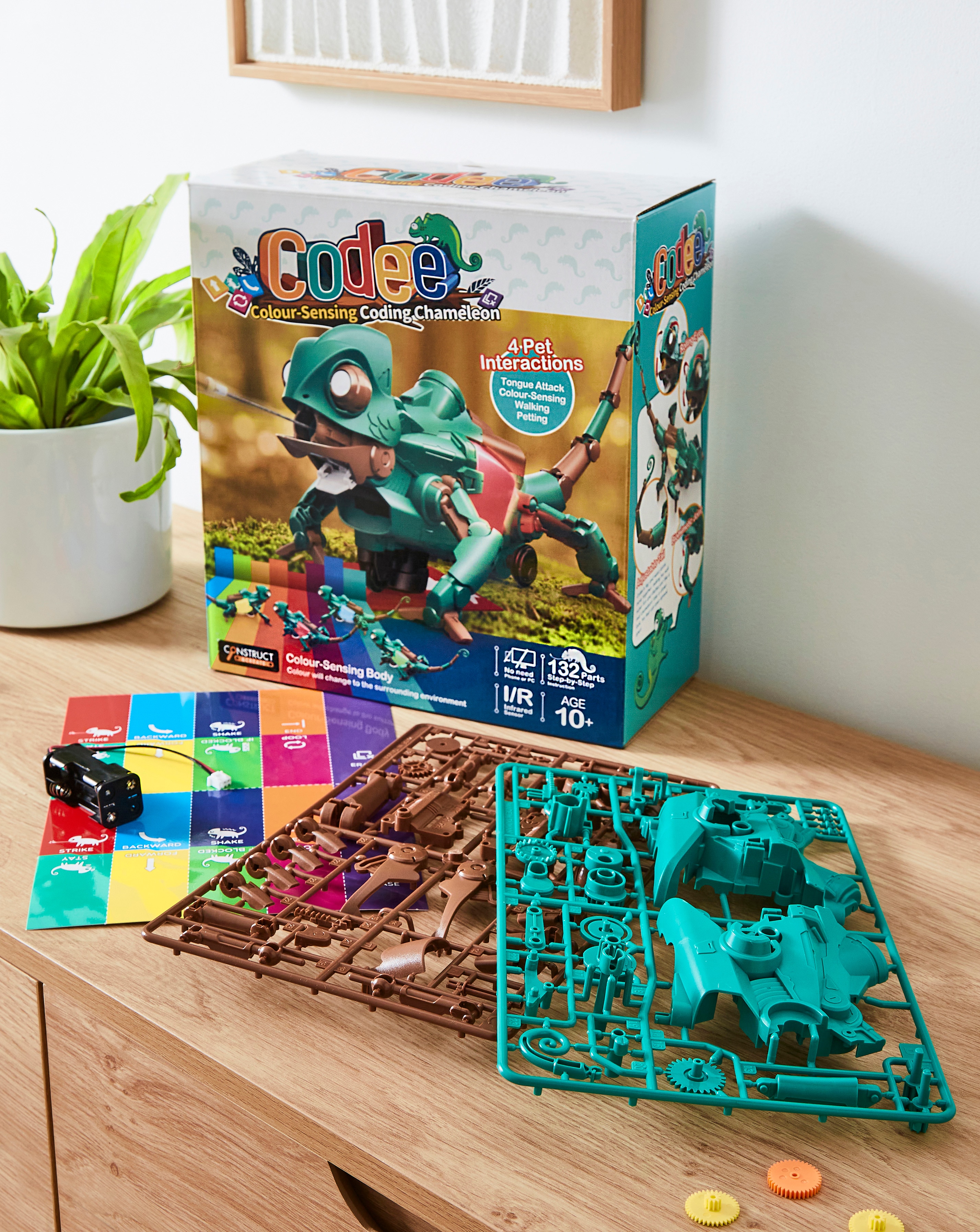 Codee the Colour-Sensing Chameleon