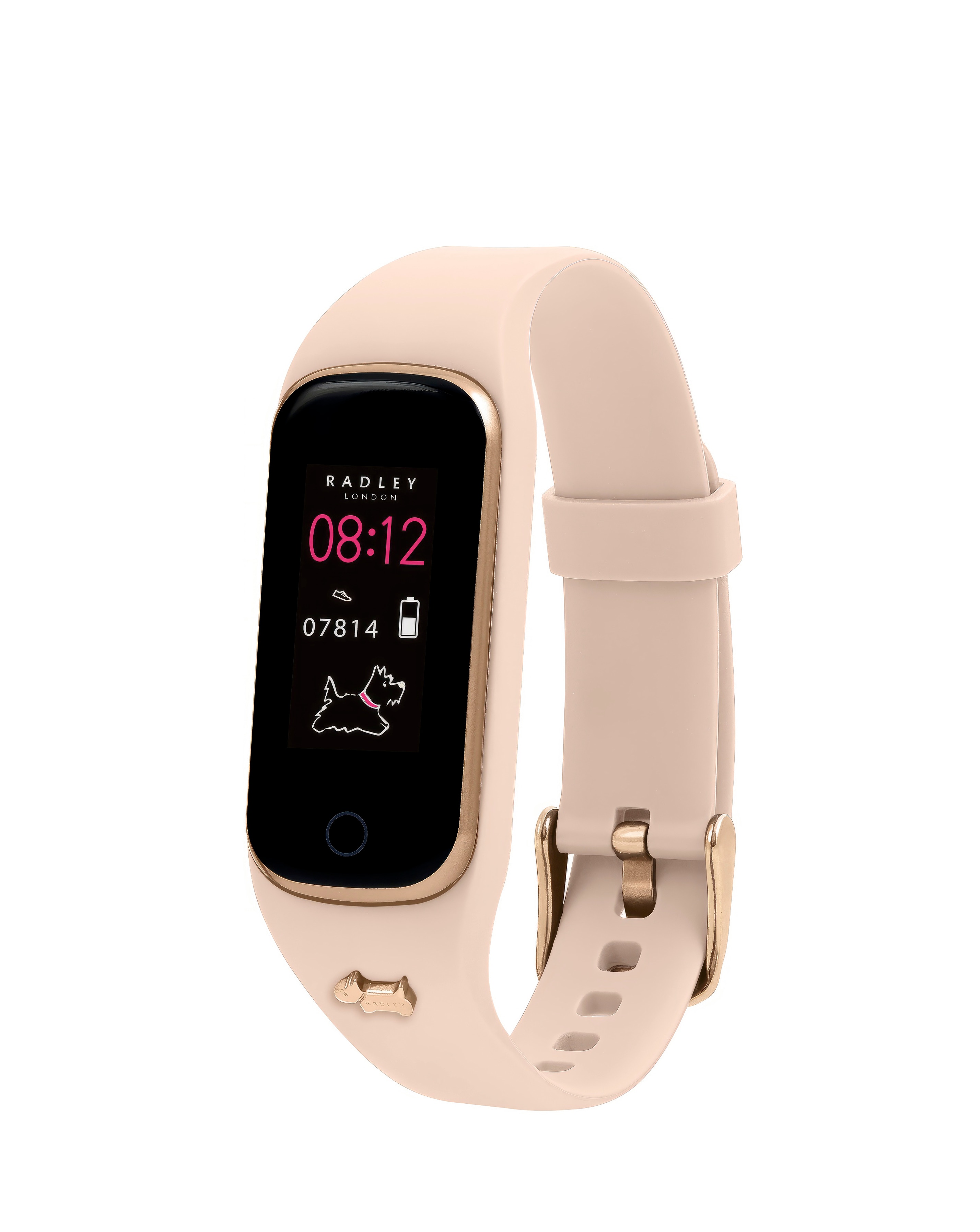 Radley Ladies Series 8 Cobweb