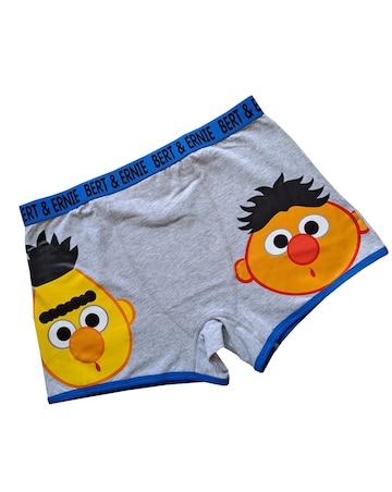 Mens 2pk Bert & Ernie Boxer