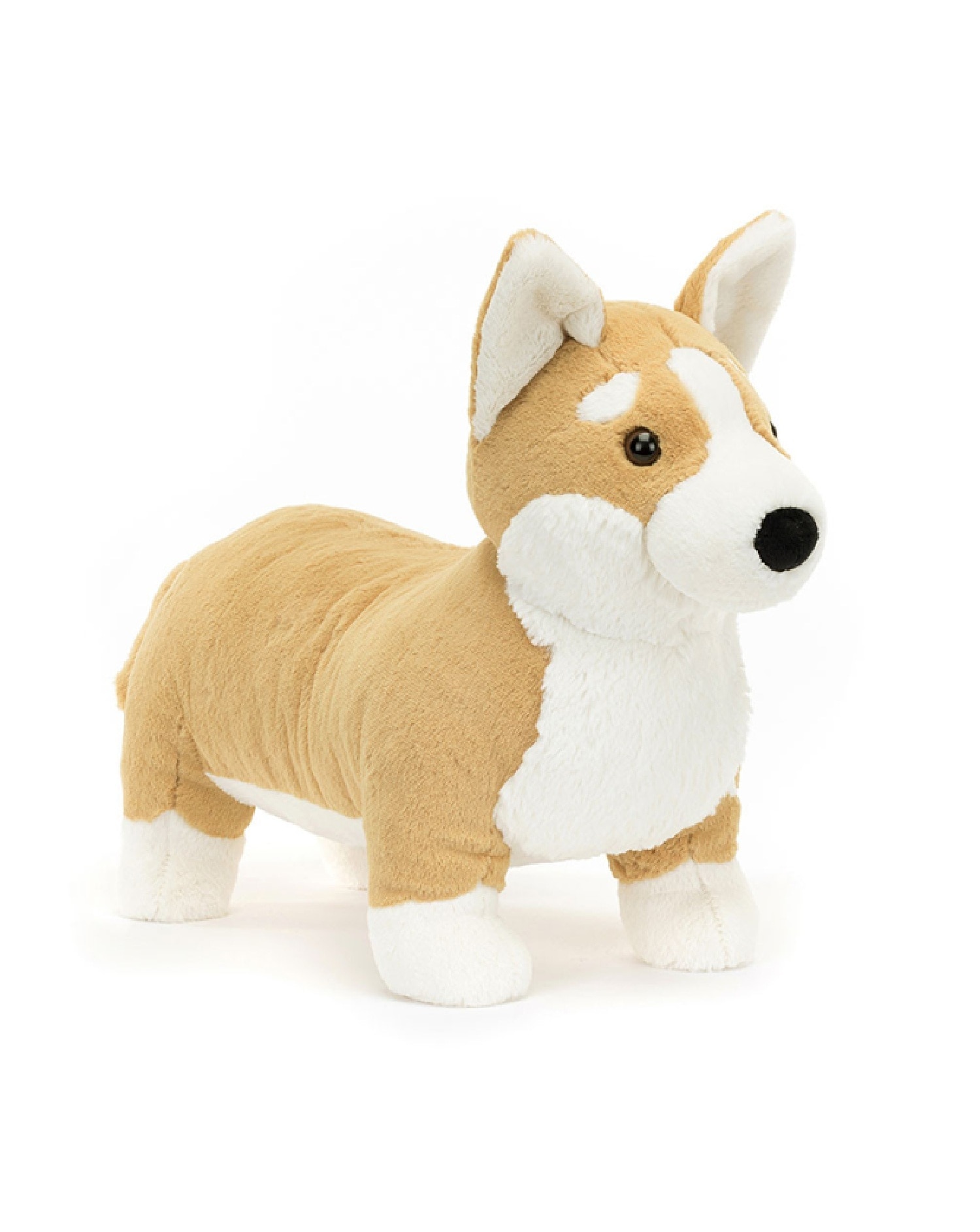 New In - JellyCat - Betty Corgi Dog, Medium