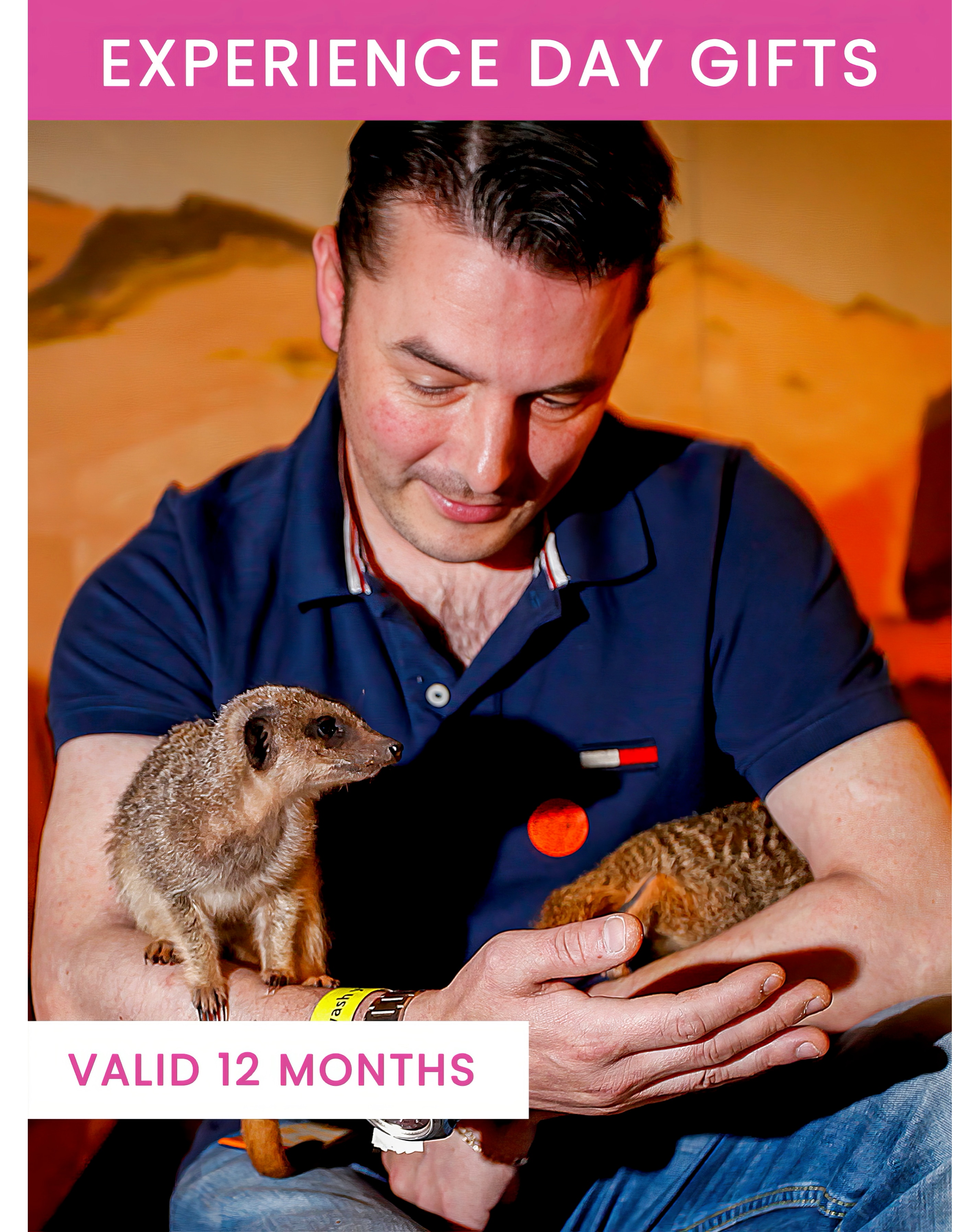 Meet the Meerkats for Two