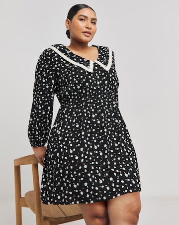 Ditsy Floral Collared Skater Dress