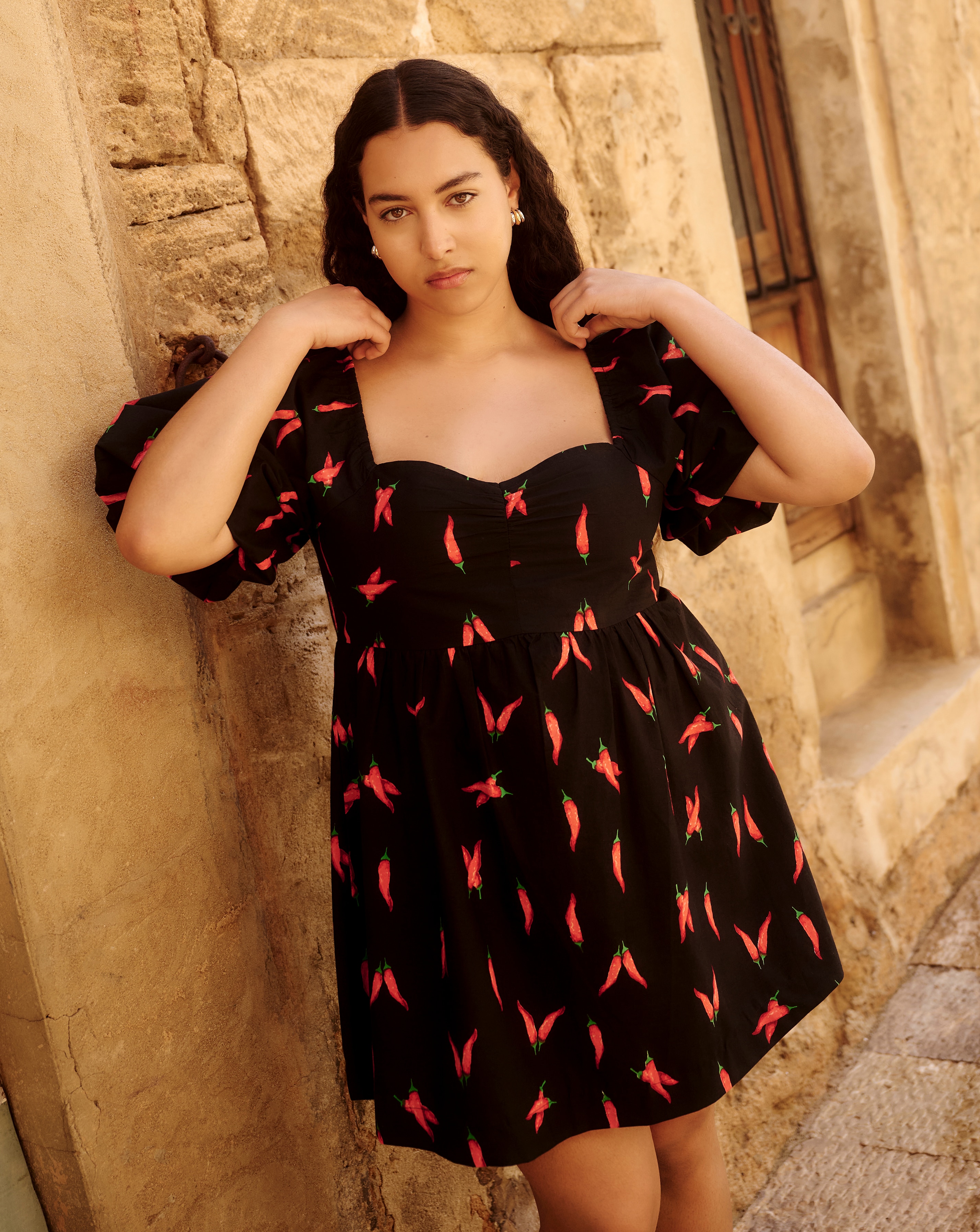 Chilli Print Poplin Skater Dress