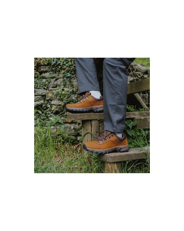 Cotswold Hawling Walking Shoe