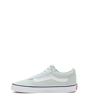 VANS Ward Trainers