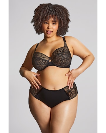 Sculptresse by Panache Sophia Full Cup Wired Bra Black