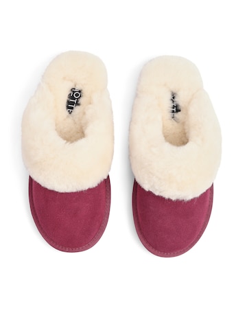 Hotter Candy Slipper