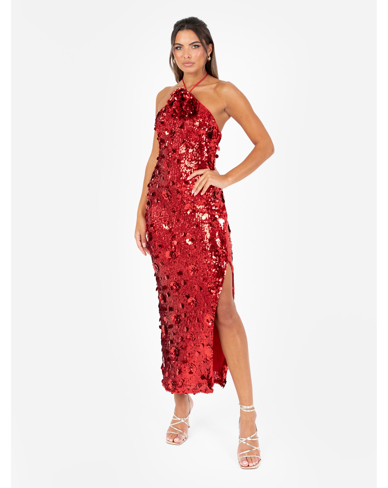 Maya Deluxe Embellished Dress