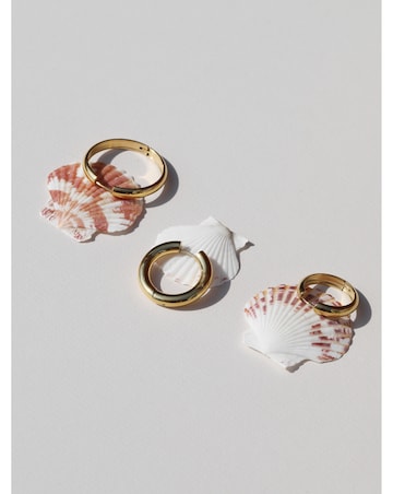 Jon Richard Gold Plated Stainless Steel Small Flat Surface Hoop Earrings