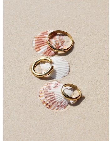 Jon Richard Gold Plated Stainless Steel Small Flat Surface Hoop Earrings