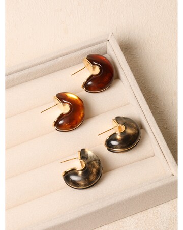 Jon Richard Brown Resin Hoop Earrings