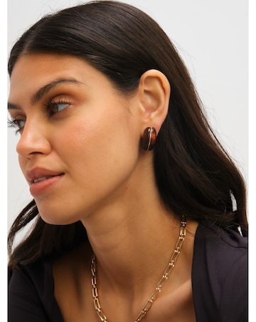 Jon Richard Brown Resin Hoop Earrings