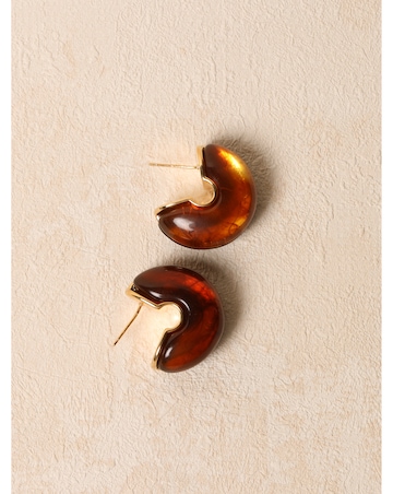 Jon Richard Brown Resin Hoop Earrings