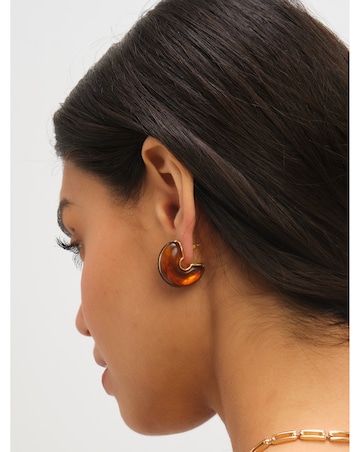 Jon Richard Brown Resin Hoop Earrings