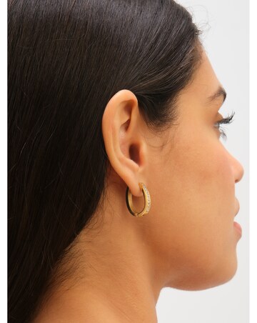 Jon Richard Gold Plated Stainless Steel Crystal And Polished Hoop Earrings