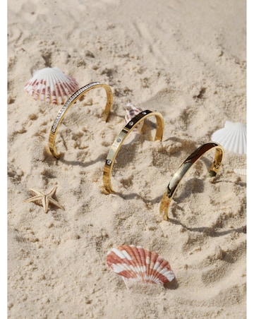 Jon Richard Gold Plated Stainless Steel Crystal Row Bangle