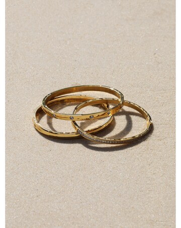 Jon Richard Gold Plated Stainless Steel Crystal Row Bangle