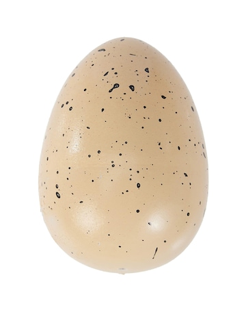SES Hatching Dino Egg Toy