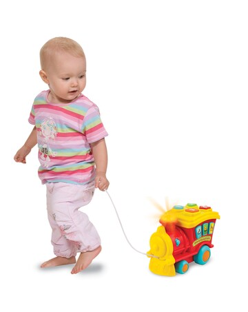 Winfun Animal Sounds Train Toy
