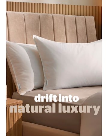 Silentnight Naturals Collection Duck Feather 2 Pack Pillow