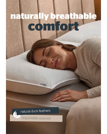 Silentnight Naturals Collection Duck Feather 2 Pack Pillow