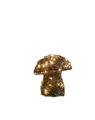 InLit Mushroom