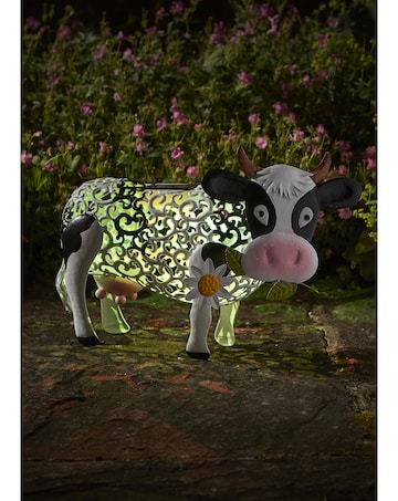 Solar Silhouette Daisy Cow