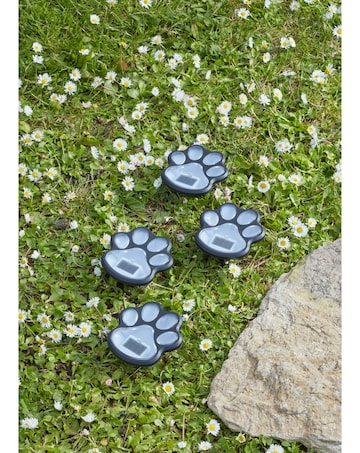 Solar PetPaws Stake 4pack