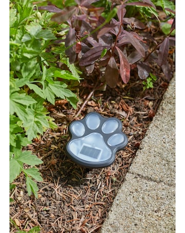 Solar PetPaws Stake 4pack