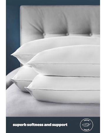 Silentnight 4 Pack Duck Feather & Down Anti-Allergy Pillows